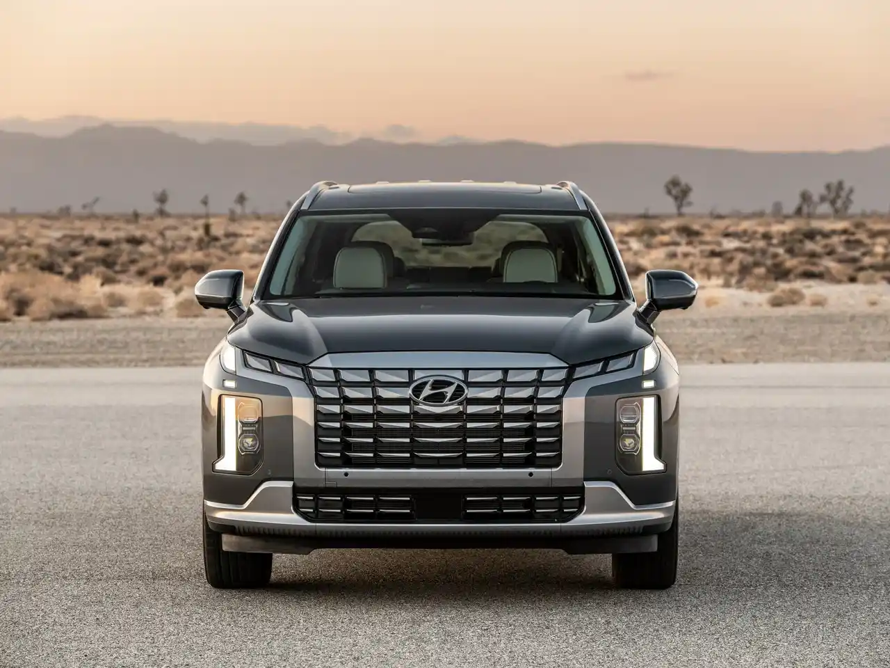 Hyundai Palisade New