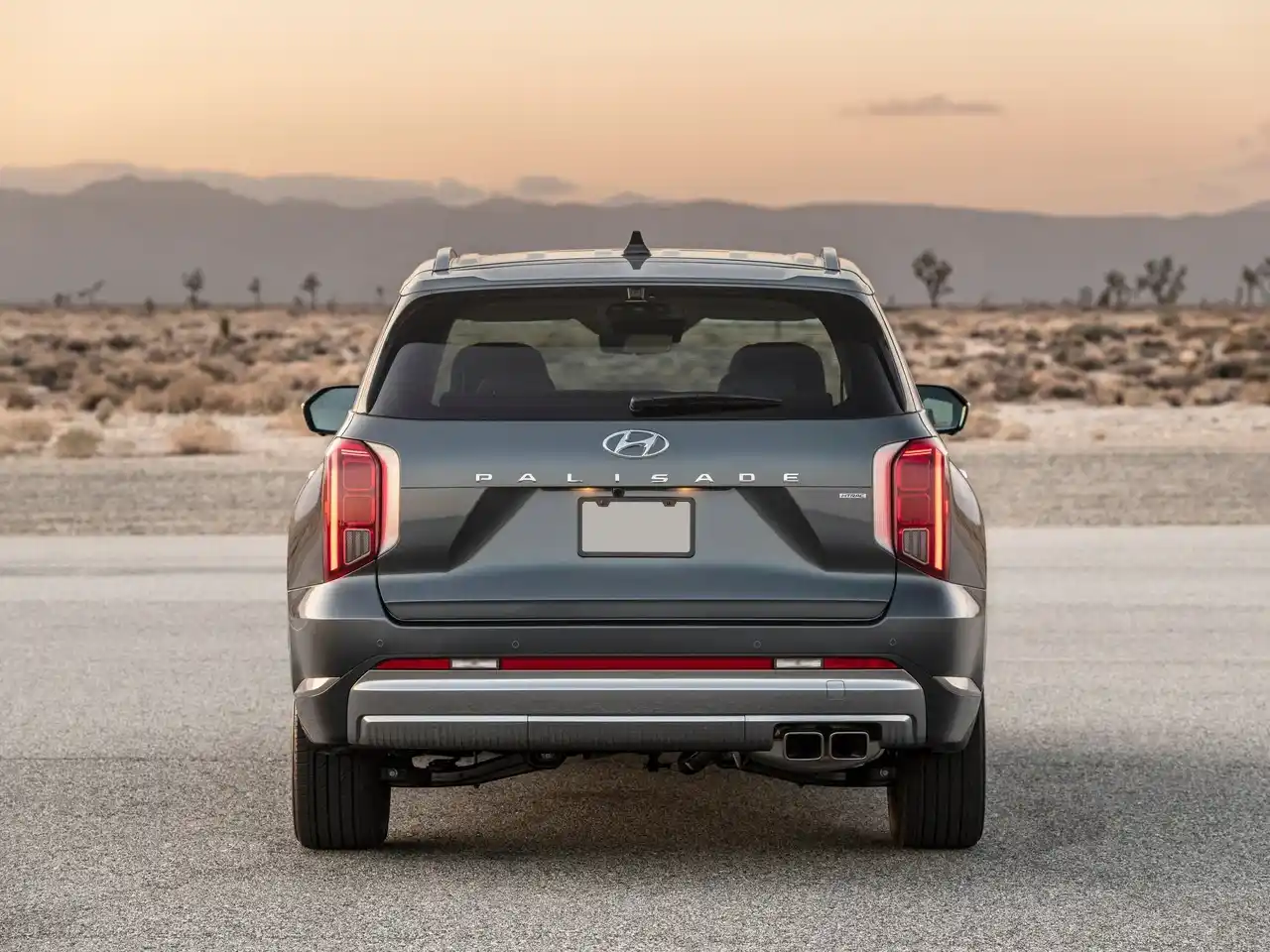 Hyundai Palisade New