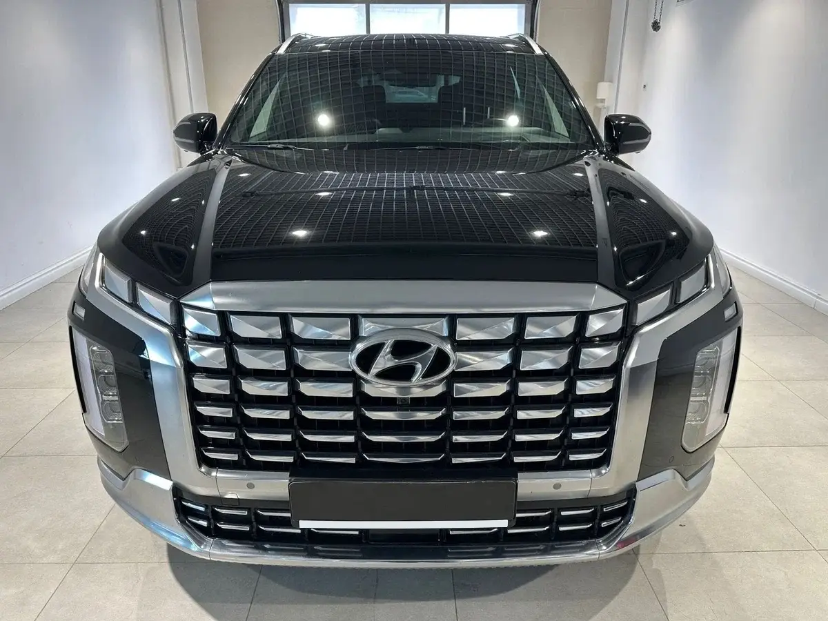 Hyundai Palisade New