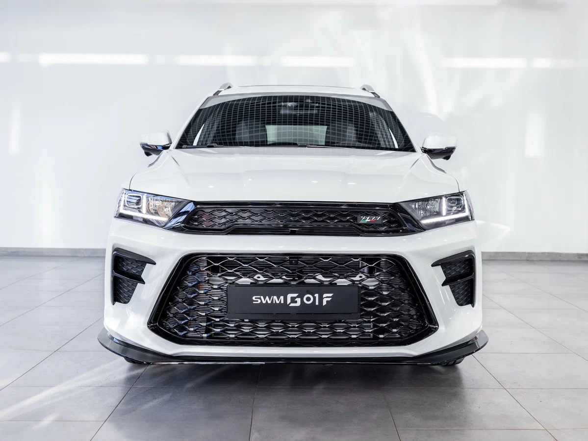 SWM G01F