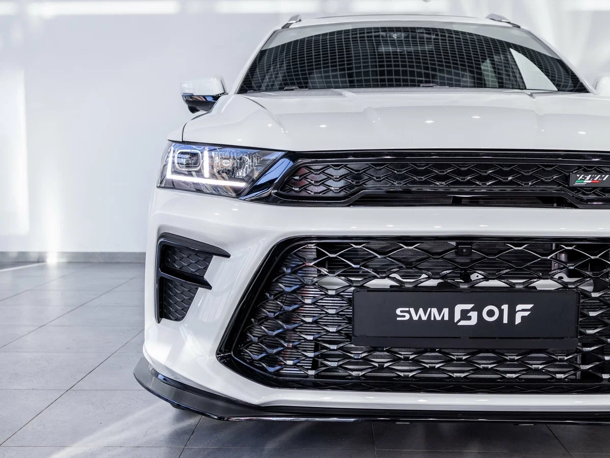 SWM G01F